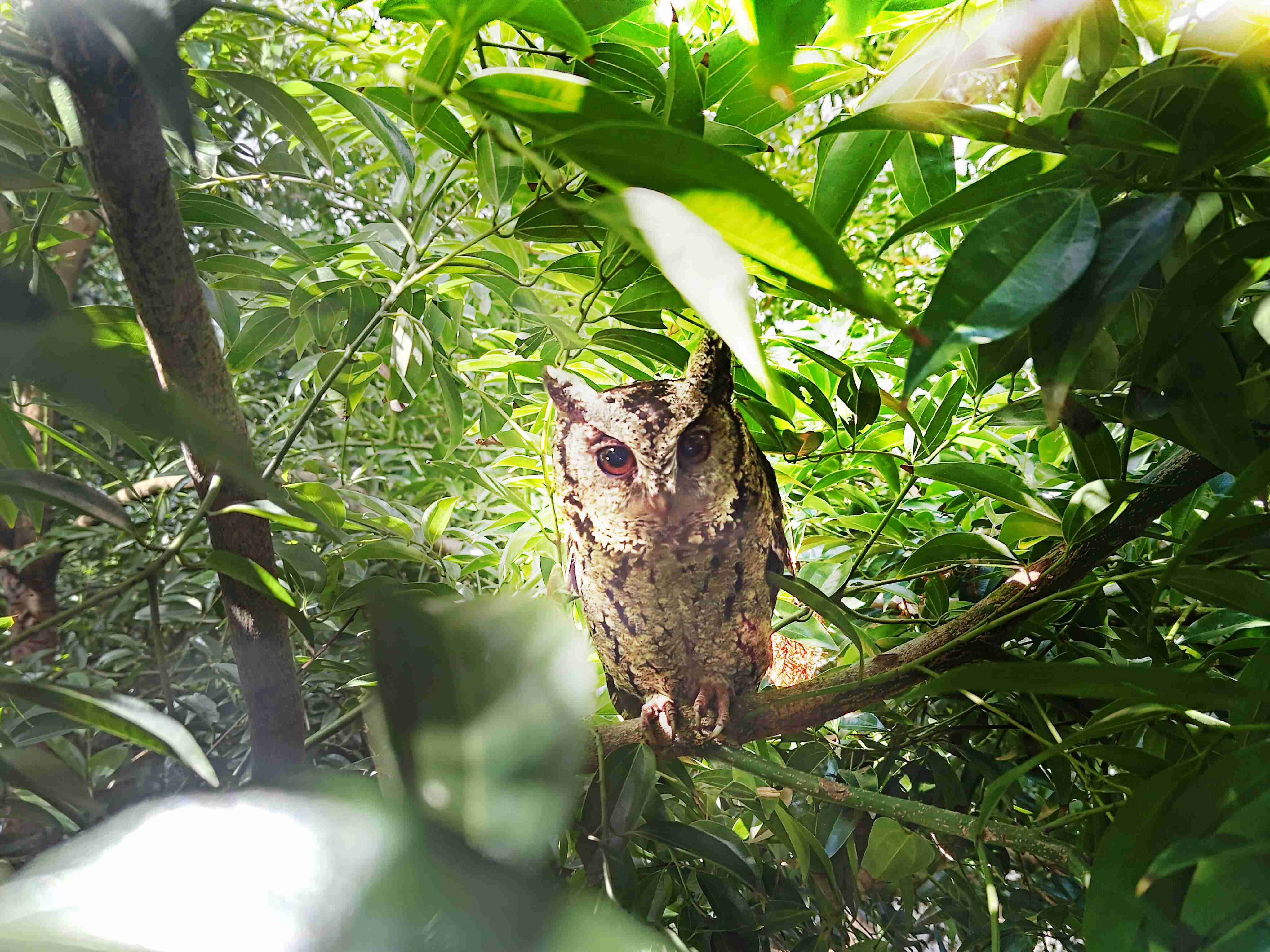 z6mg·人生就是博致力提倡净零绿生活，，16年以来在全球各厂区植树逾百万棵，，，，造就各厂区树木蔚然成林，，，，犹如森林工厂，，成为许多生物的栖息地